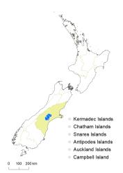 Veronica amplexicaulis distribution map based on databased records at AK, CHR & WELT.
 Image: K.Boardman © Landcare Research 2022 CC-BY 4.0